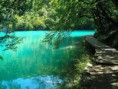 /album/galeria-de-fotos-galeria-de-fotos/agua-azul-e-arvore-jpg/